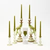Green Parrot Candlescape|Mrs. Alice Sale