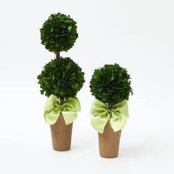 Potted Boxwood With Green Bow Decoration Set|Mrs. Alice Outlet