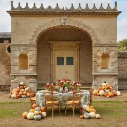 Sofia Bud Vase Set|Mrs. Alice Discount